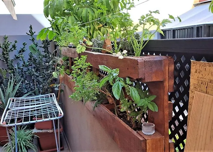 Casa Maya Adeje Tenerife Sur Pool And Terrace * Costa Adeje (Tenerife)